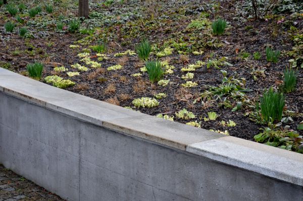 Concrete Wall Construction in Pasadena