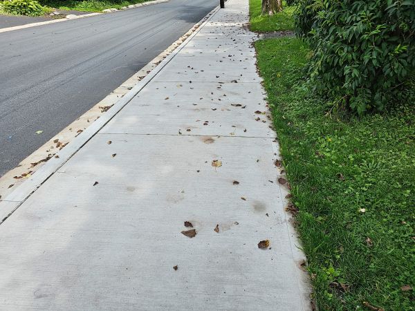 Sidewalk Renovation in Pasadena