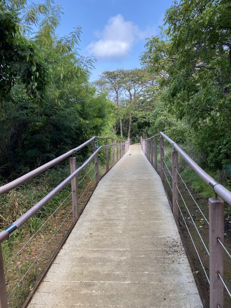 Footpath Construction in Pasadena
