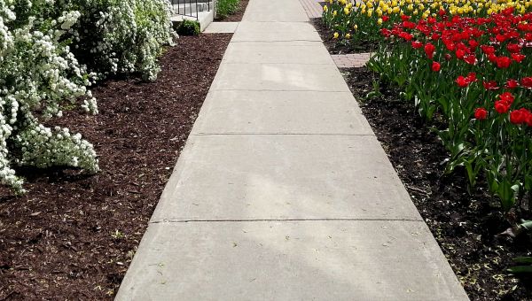 Cement Sidewalk Installation in Pasadena
