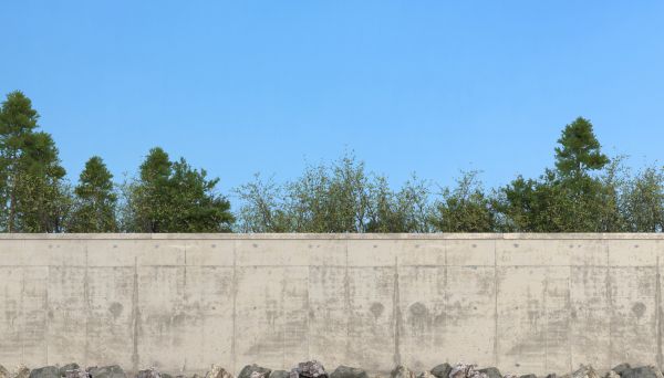 Privacy Wall Construction in Pasadena