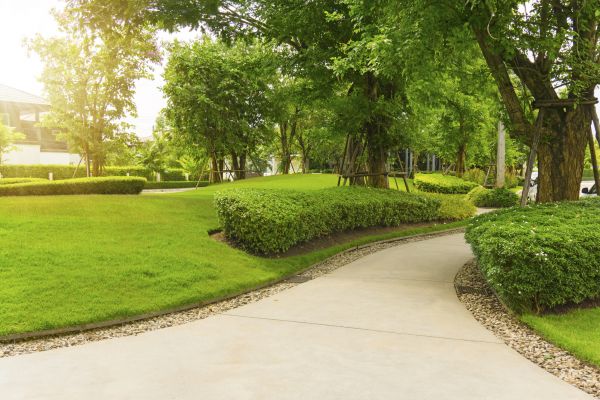 Walkway Concrete Installation in Pasadena