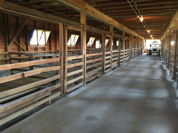 Barn Slab Construction in Pasadena