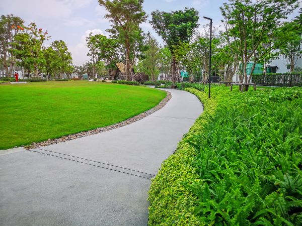 Cement Walkway Service in Pasadena