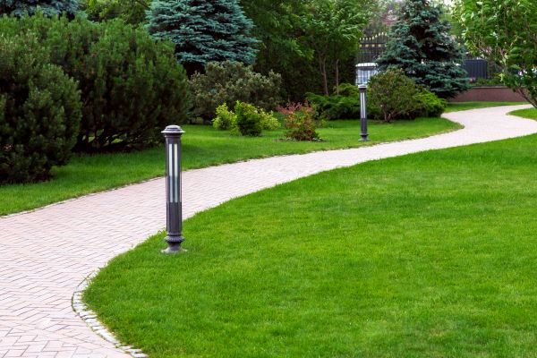Backyard Sidewalk Installation in Pasadena